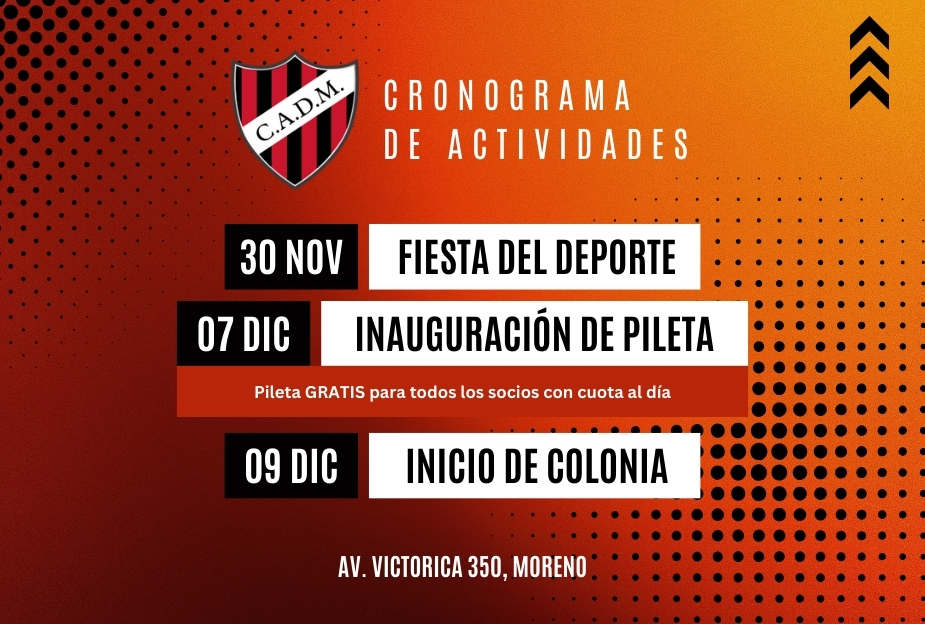 Cronograma de Actividades!